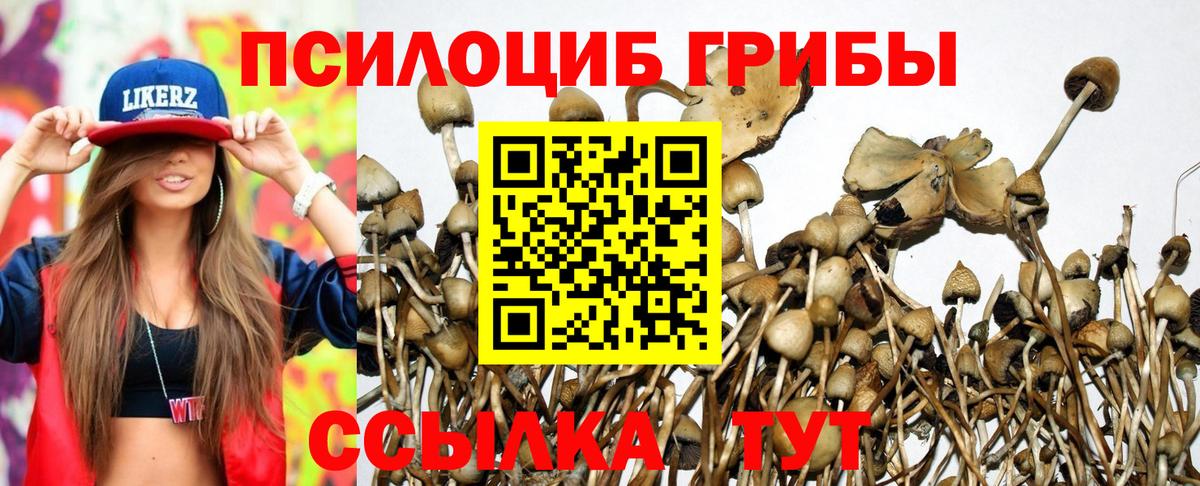 Галлюциногенные грибы ЛСД Альметьевск