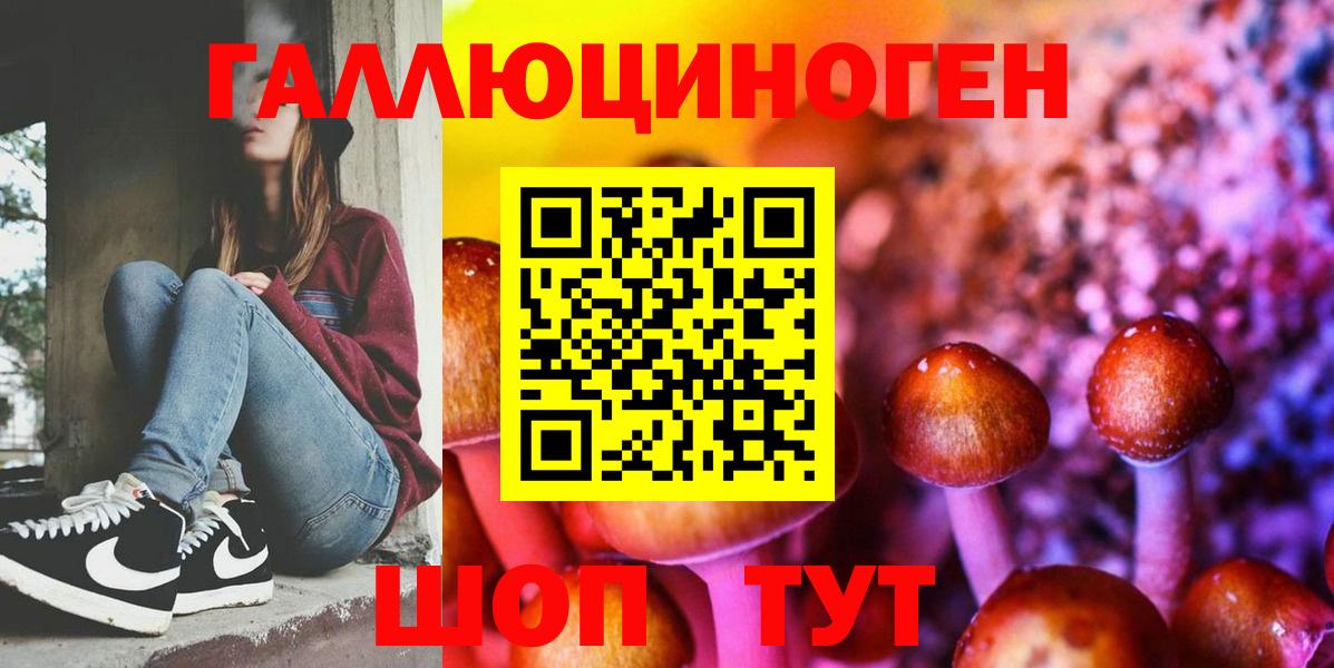 Галлюциногенные грибы Psilocybine cubensis  Вход с VPN  Псилоцибиновые грибы GOLDEN TEACHER  Альметьевск 